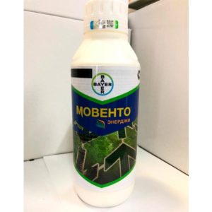 คำแนะนำในการใช้ยาฆ่าแมลง Movento Energy ส่วนประกอบและสารที่คล้ายกัน