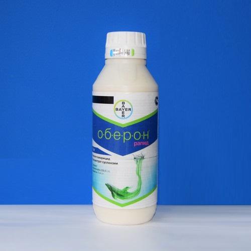 Photo du rapide d'Oberon