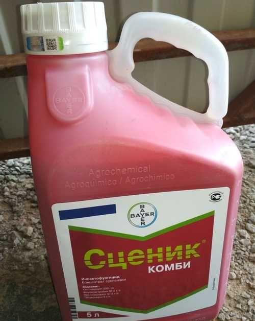 ภาพถ่ายรวมเวที