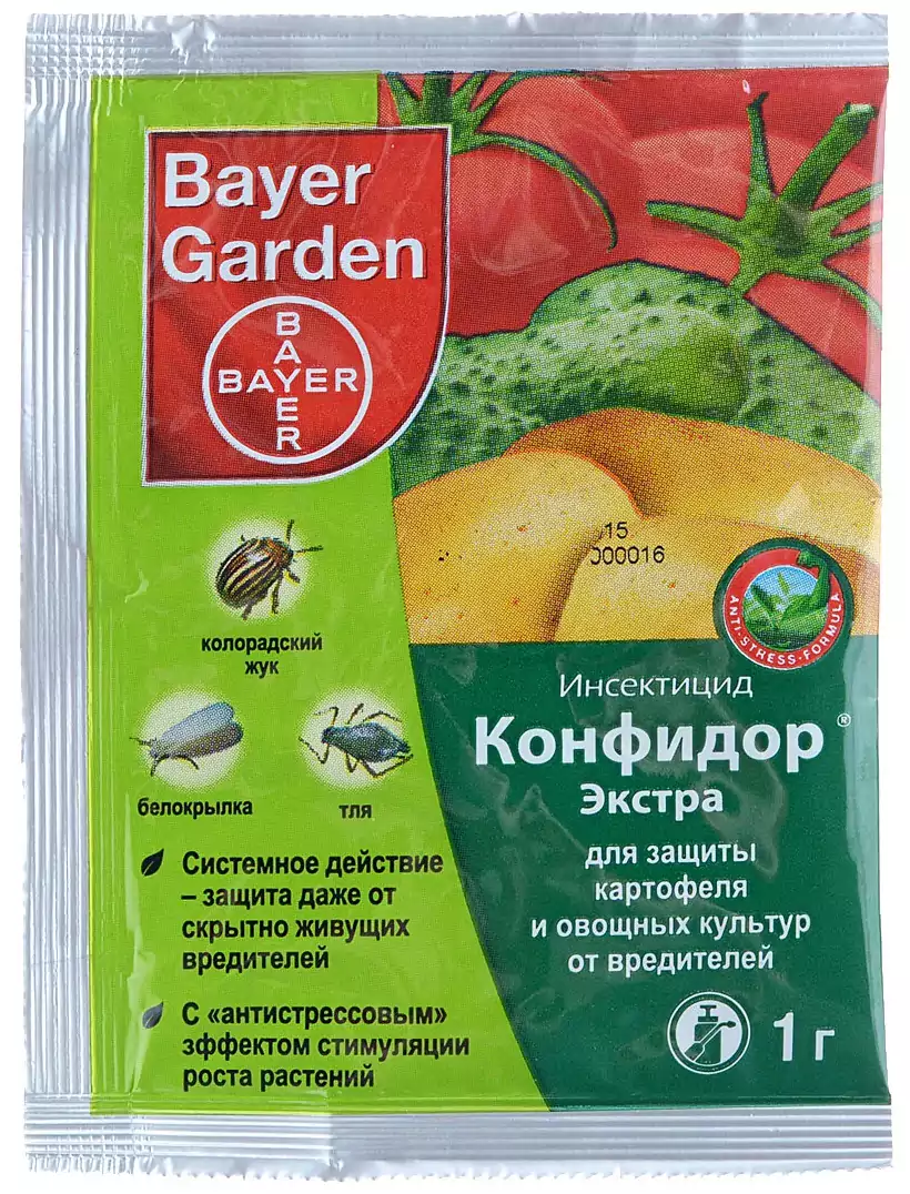 ภาพถ่ายคอนฟิดอร์