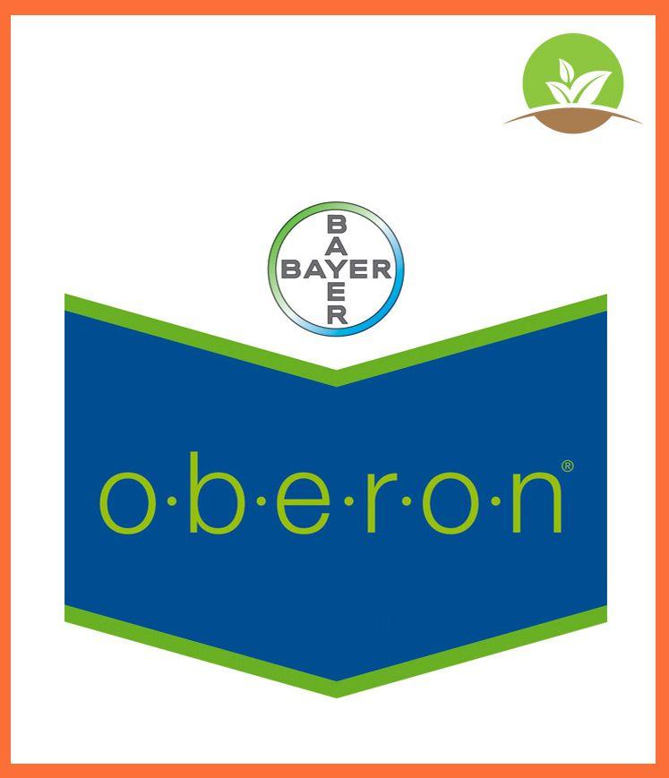 Médicament « Oberon Rapid »