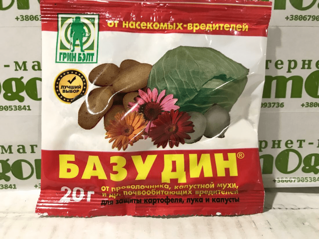 บาซูดิน