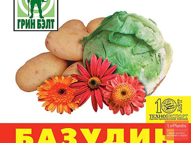 รูปถ่ายของบาซูดิน