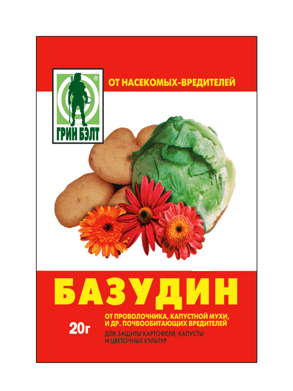 บาซูดิน