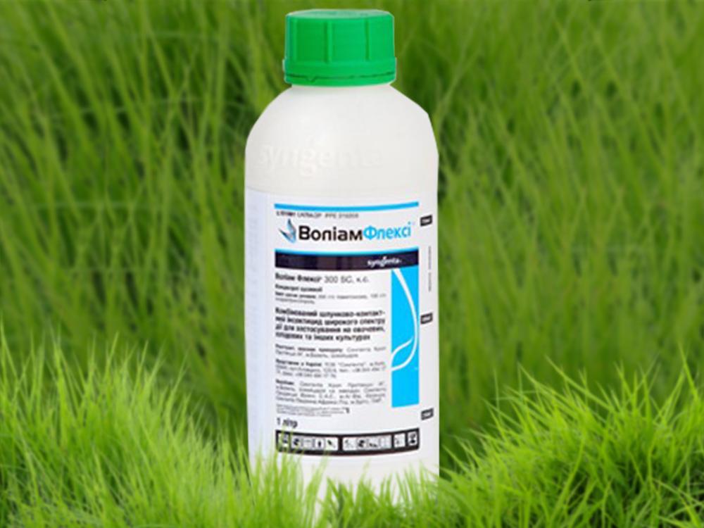 "โวเลียม เฟล็กซี่"