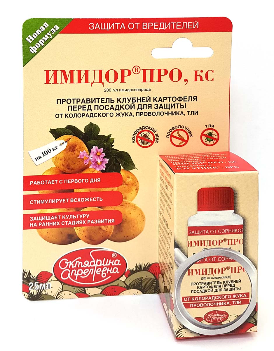 ภาพถ่ายอิมีดอร์