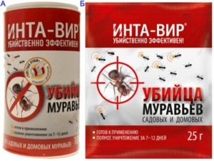 Mode d'emploi d'Inta-Vir et composition du médicament, but et analogues