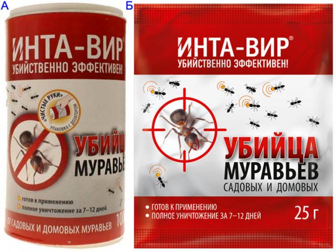 ภาพถ่ายอินตา-เวียร์