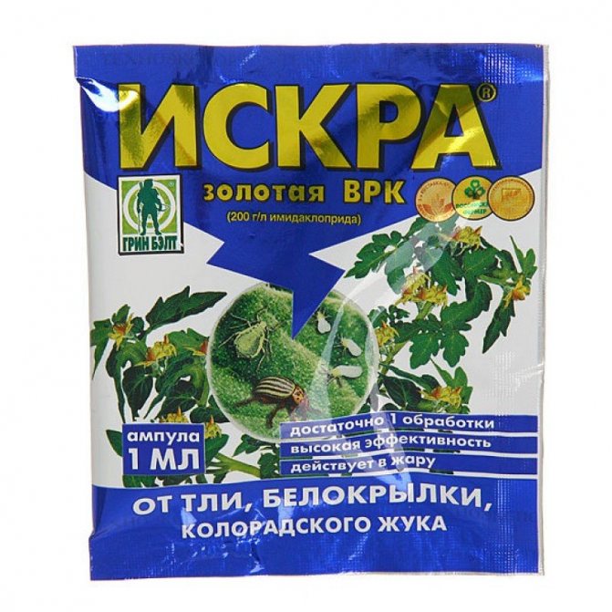 ประกายทอง