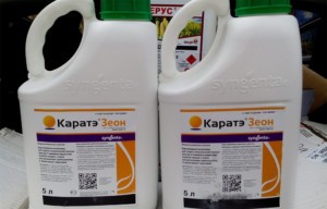 คำแนะนำสำหรับการใช้คาราเต้ซีออนและองค์ประกอบของยาฆ่าแมลงชนิดอะนาล็อก