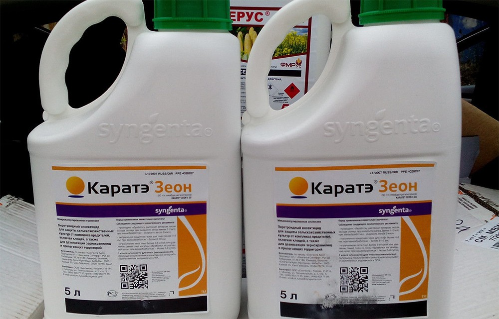 ภาพถ่ายคาราเต้ซีออน