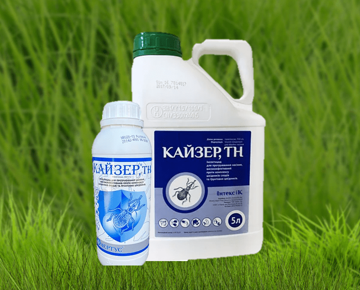 Photo du traitement des semences Kaiser