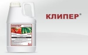 คำแนะนำในการใช้ยาฆ่าแมลง Clipper ส่วนประกอบของการเตรียม ปริมาณยา