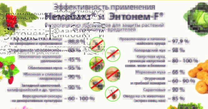 คำแนะนำในการใช้ Nemabact