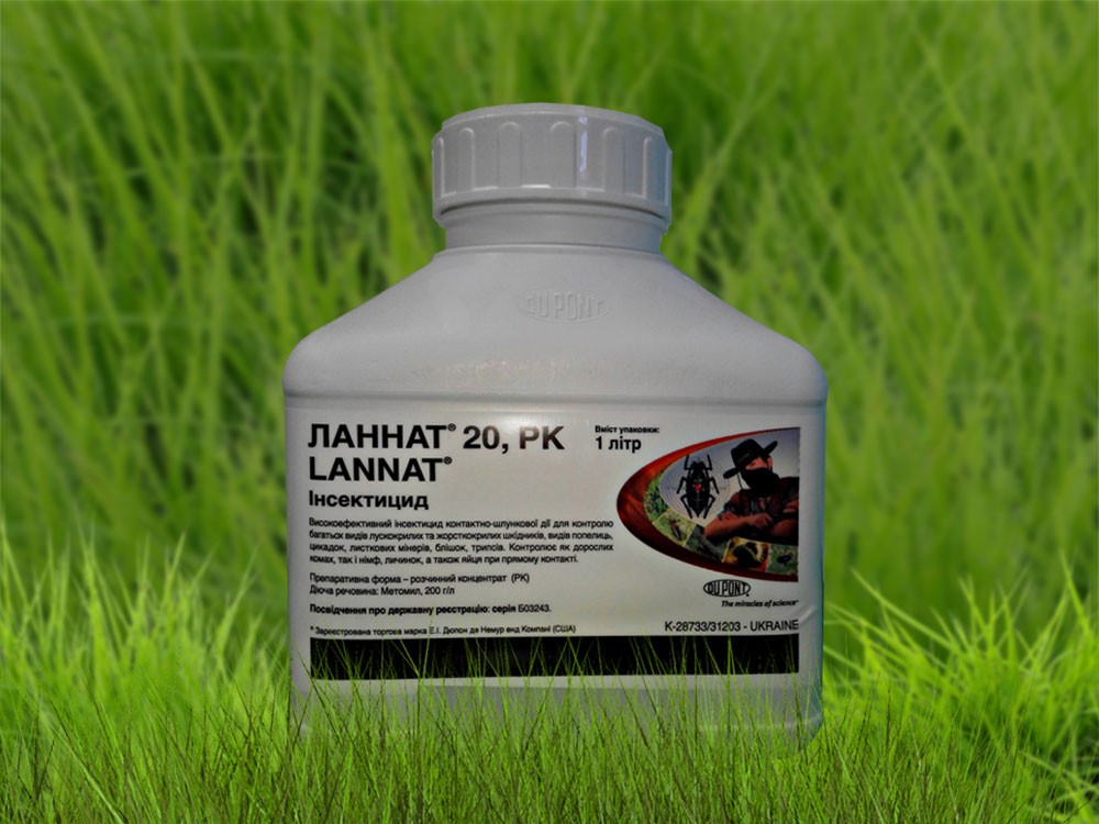 ภาพถ่ายล้านนาท