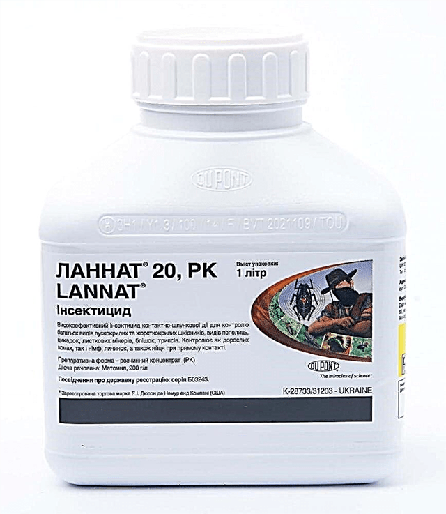 ภาพถ่ายล้านนาท