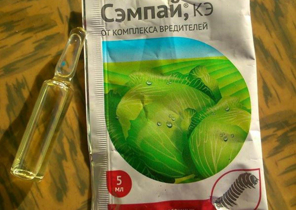 คำแนะนำการใช้ของเซนไป