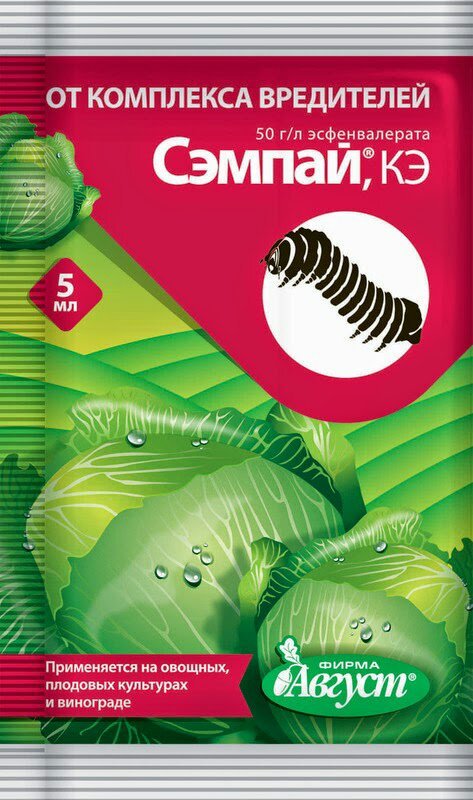 คำแนะนำการใช้ของเซนไป (ภาพ)