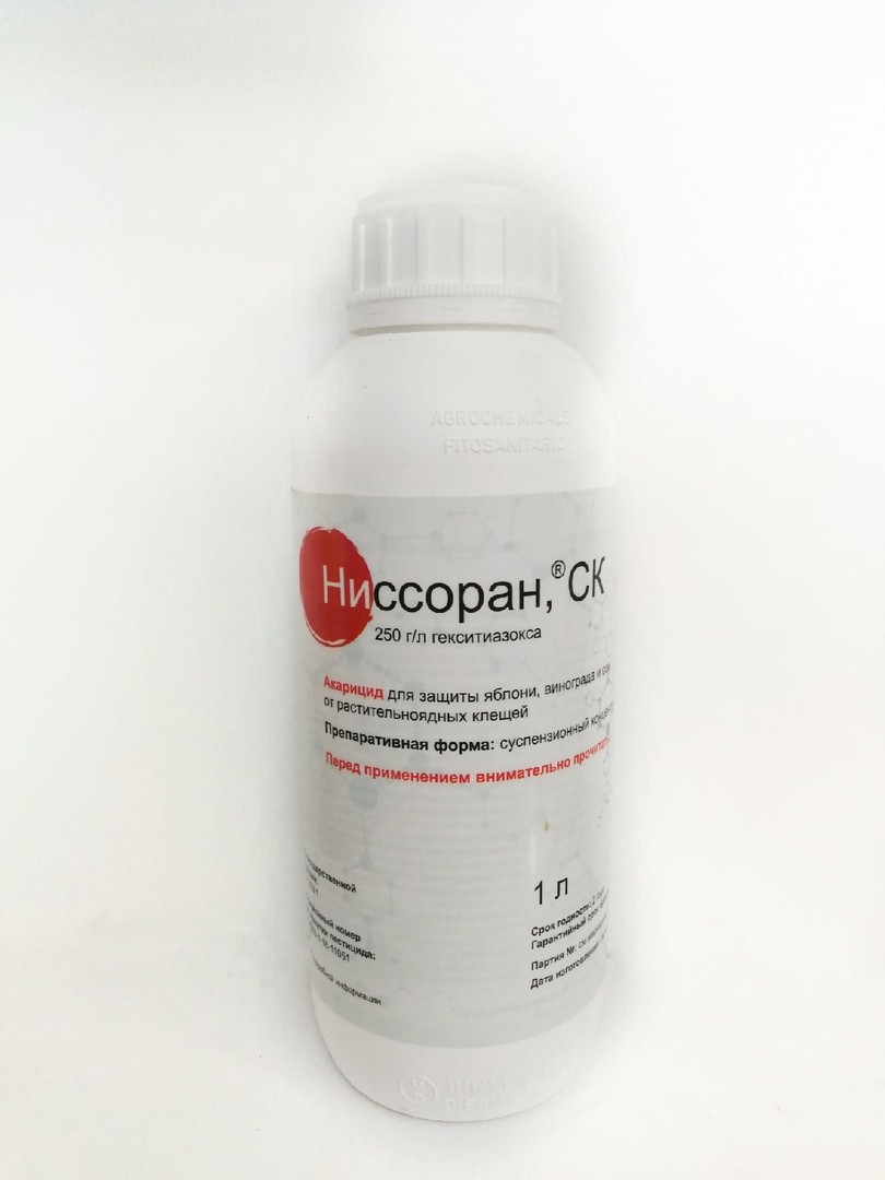 ภาพถ่ายนิสสัน